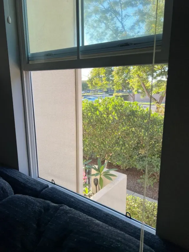 Window with a screen, looking out at trees