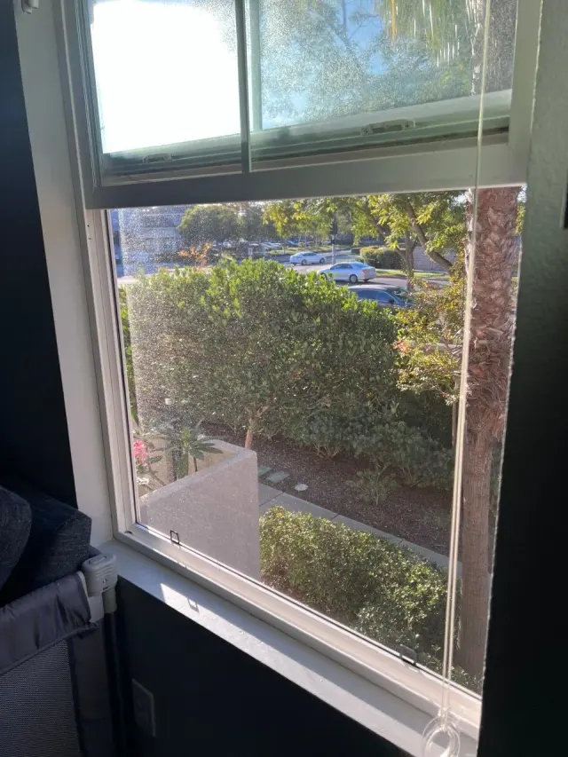 Window with a screen, looking out over a garden