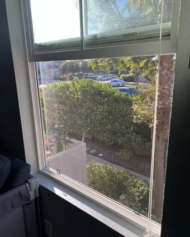 Window fitted with a new custom screen, looking out over a garden