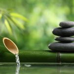 feng shui by river and reed plant